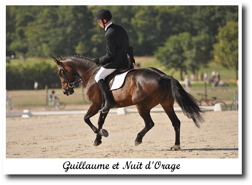 dressage guillaume
