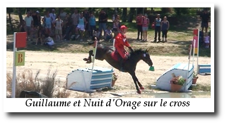 cross guillaume
