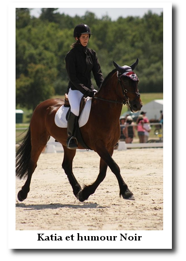 dressage