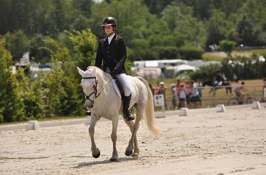 dressage Violette